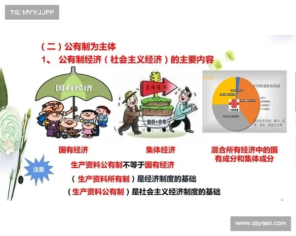 以期三注为核心分析框架探讨其在当代经济决策中的应用与影响 以期三注为核心分析框架探讨其在当代经济决策中的应用与影响